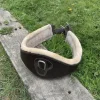 sangle mouton canter