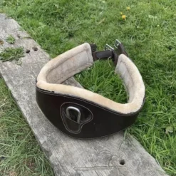sangle mouton canter