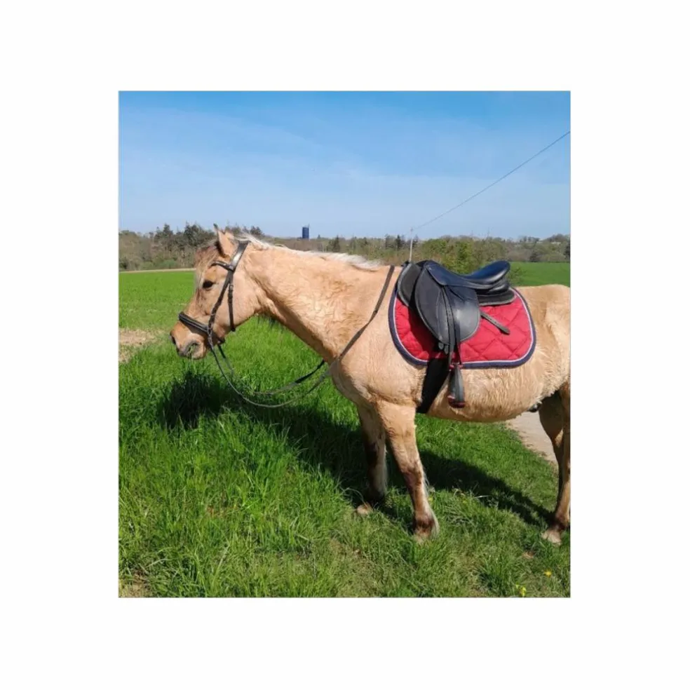 Sangle neoprene stubben 125cm