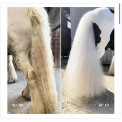 savon pour chevaux gris