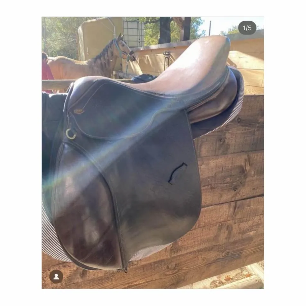 selle 16,5
