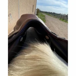 selle 16’’5 cso