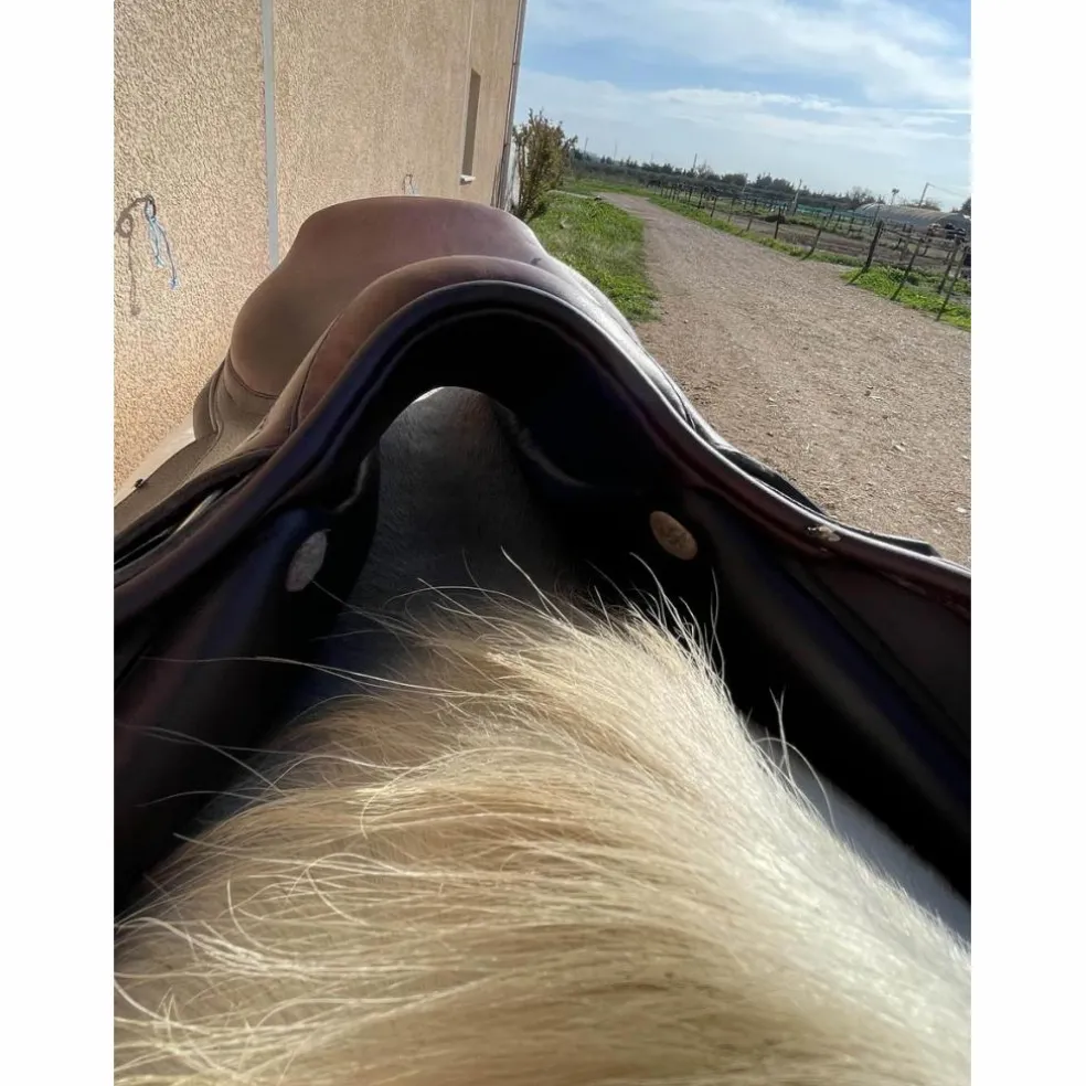 selle 16’’5 cso