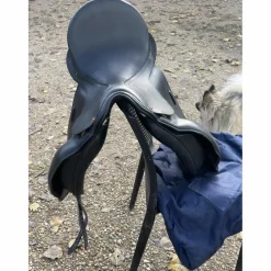 Selle Albion