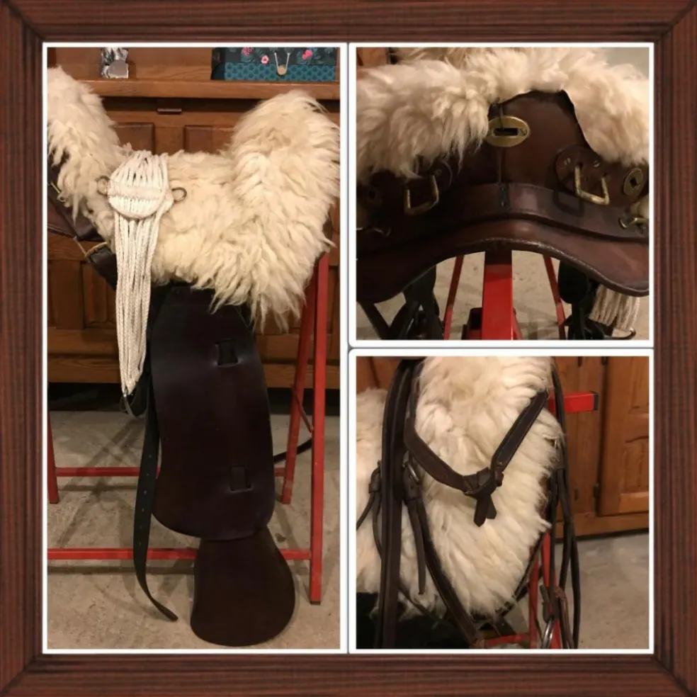 Selle américaine Cheval