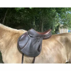 selle antares