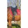 selle antares 17,5