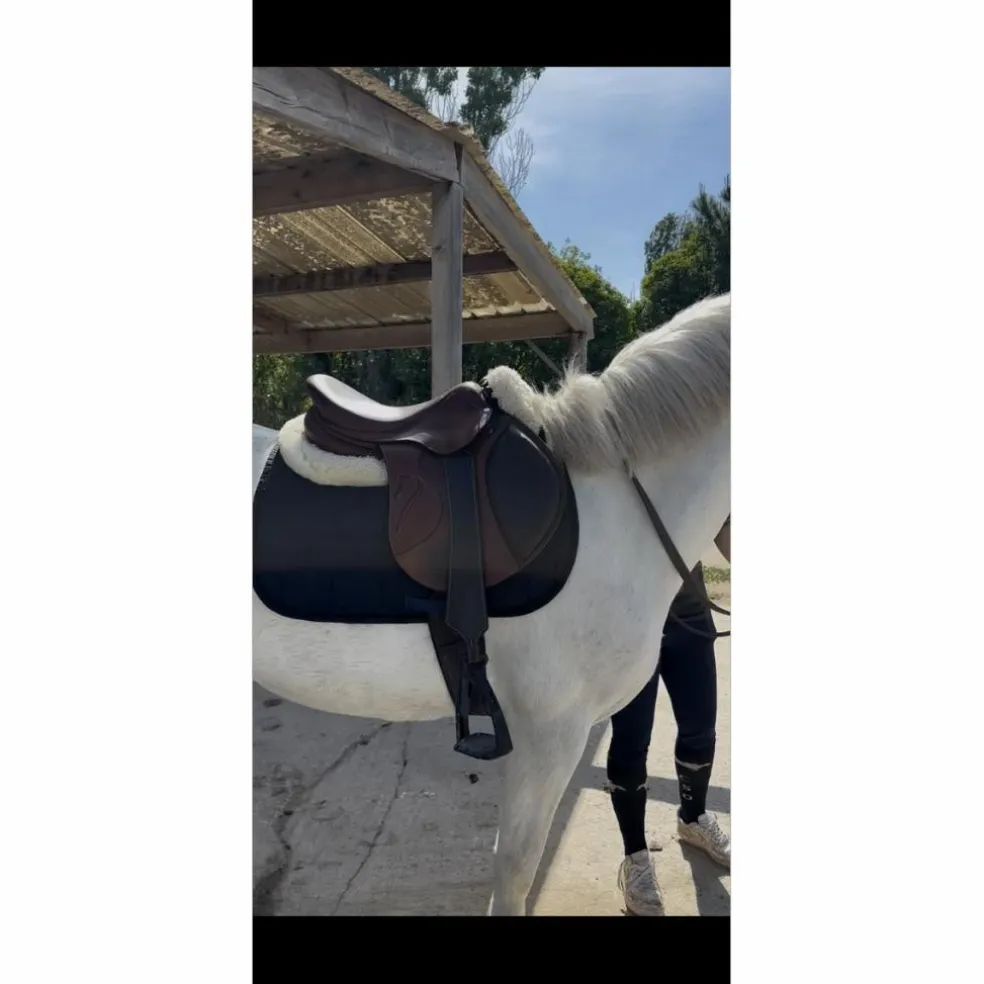 selle antares active