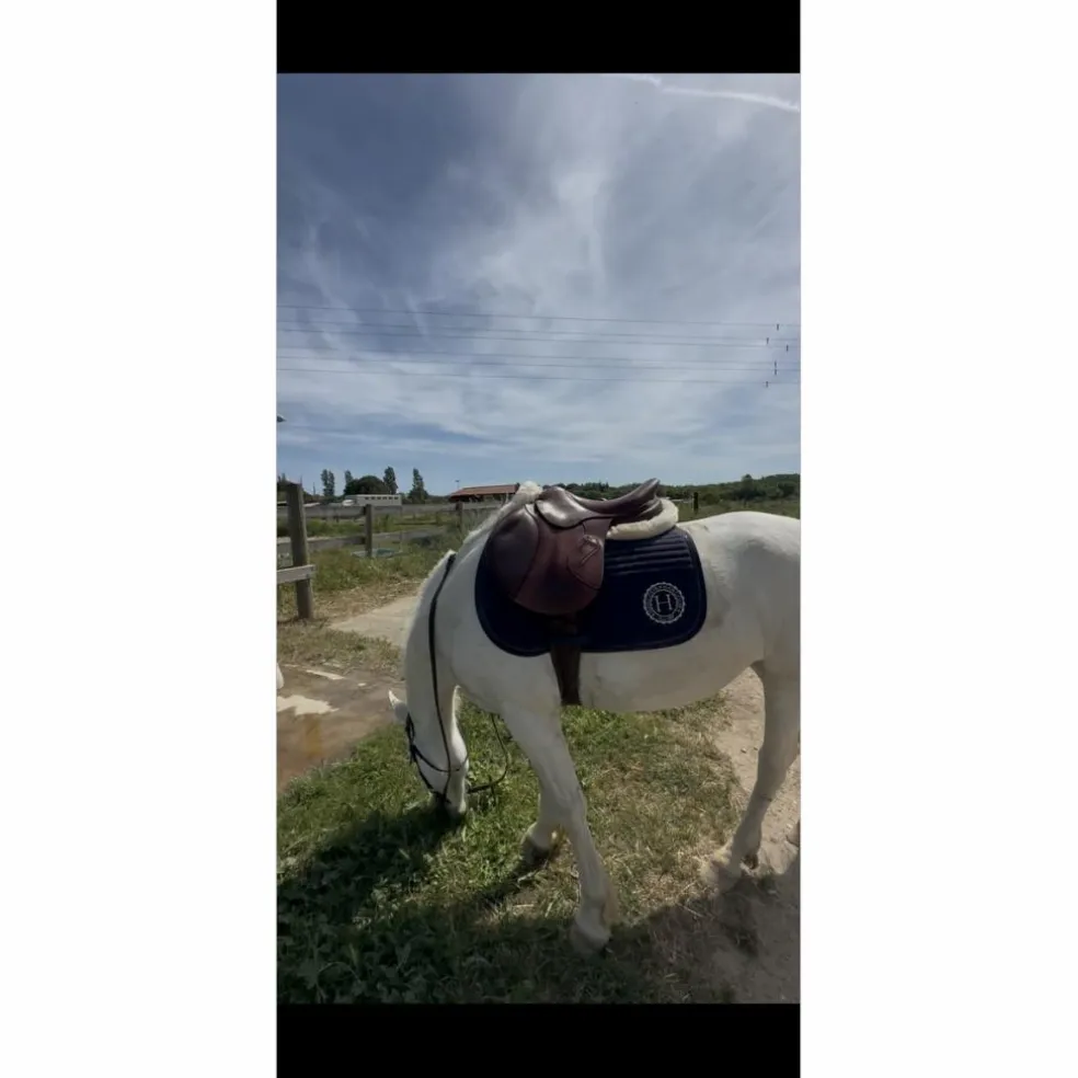 selle antares active