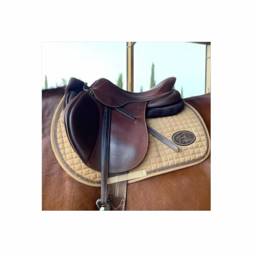 Selle Antares Connexion