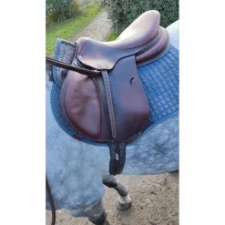 Selle antares connexion