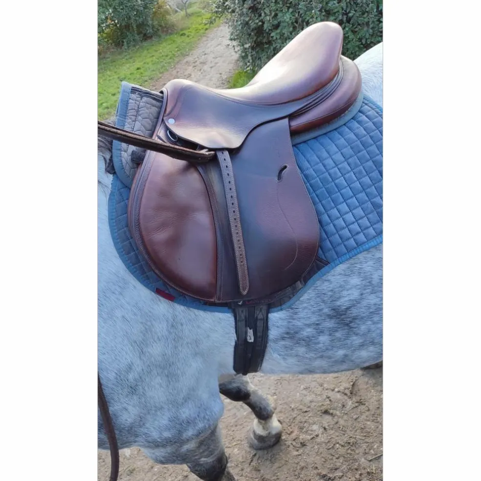 Selle antares connexion