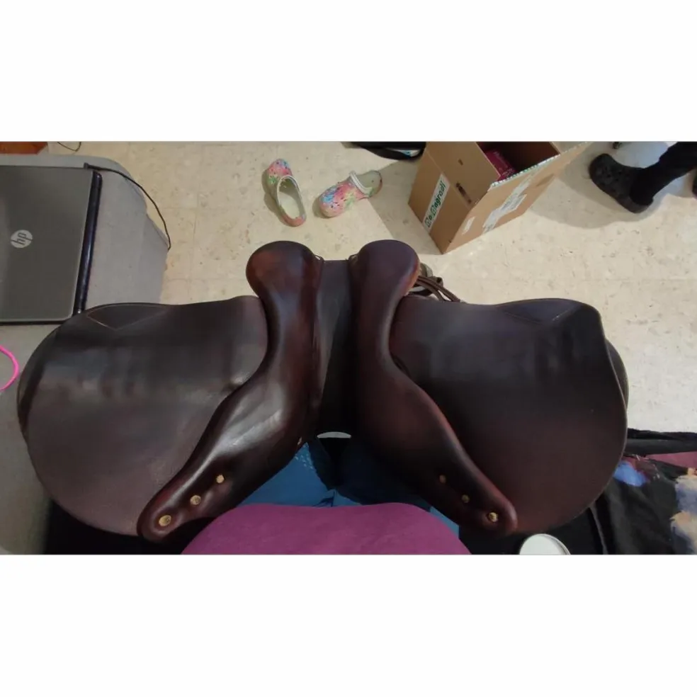 Selle antares connexion
