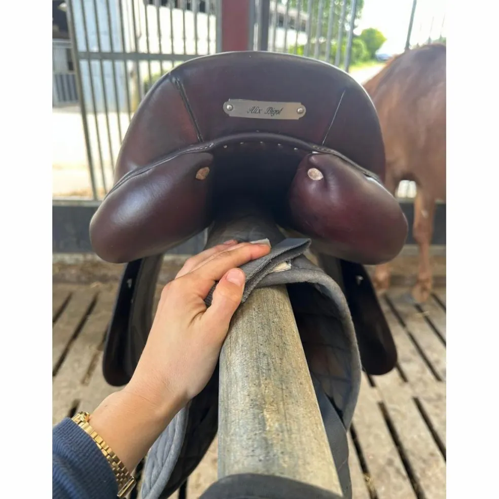 Selle Antares Connexion