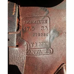 Selle Antares marron signature taille 17,5