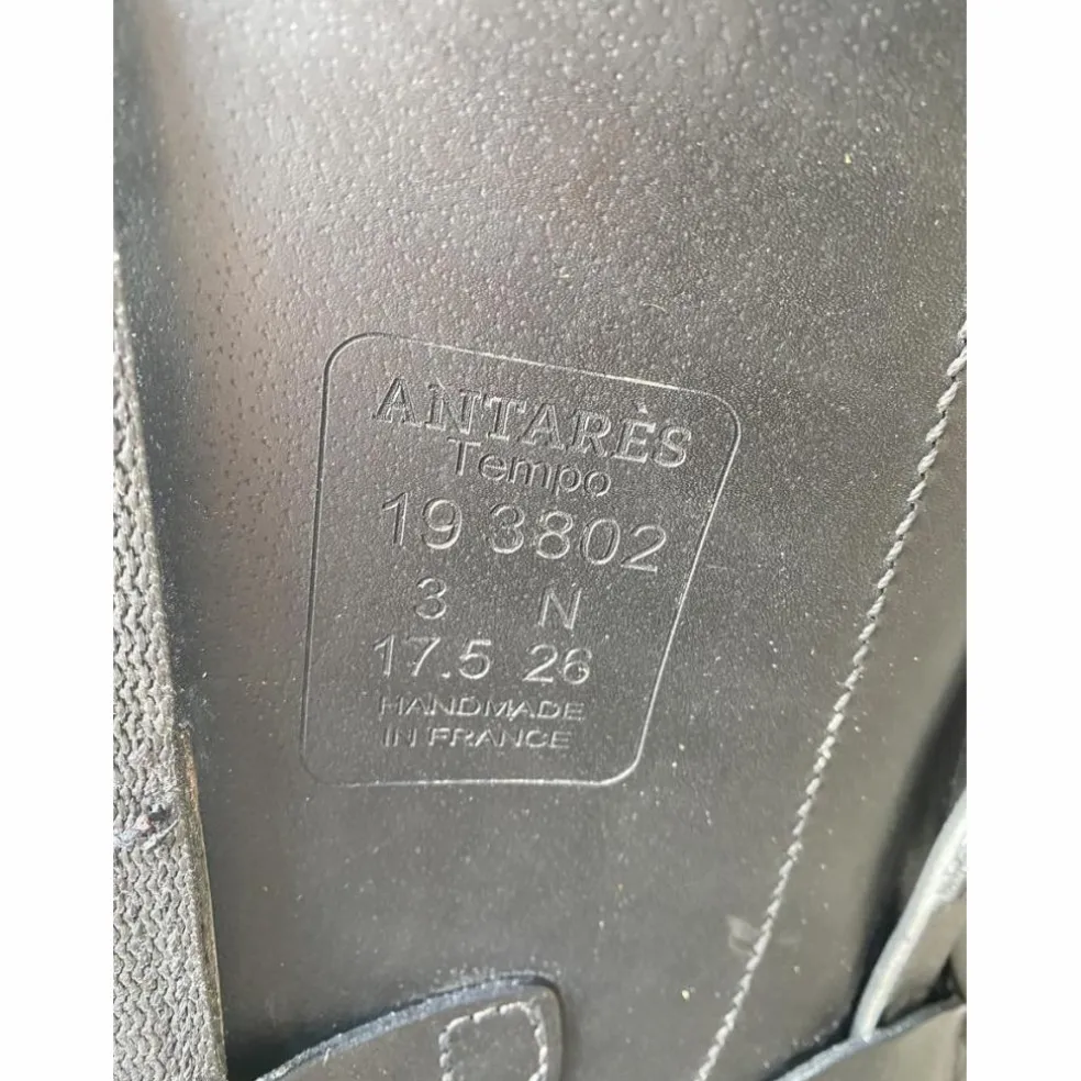Selle Antares modèle Tempo