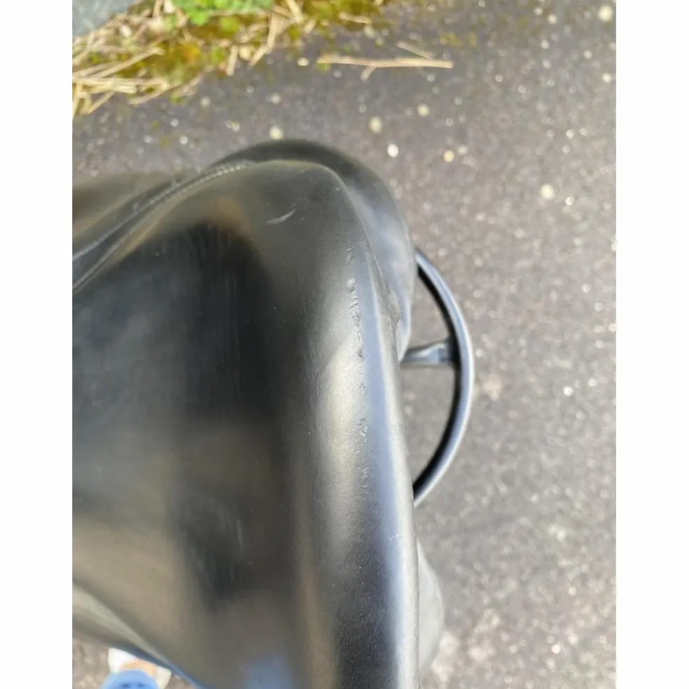Selle Antares modèle Tempo