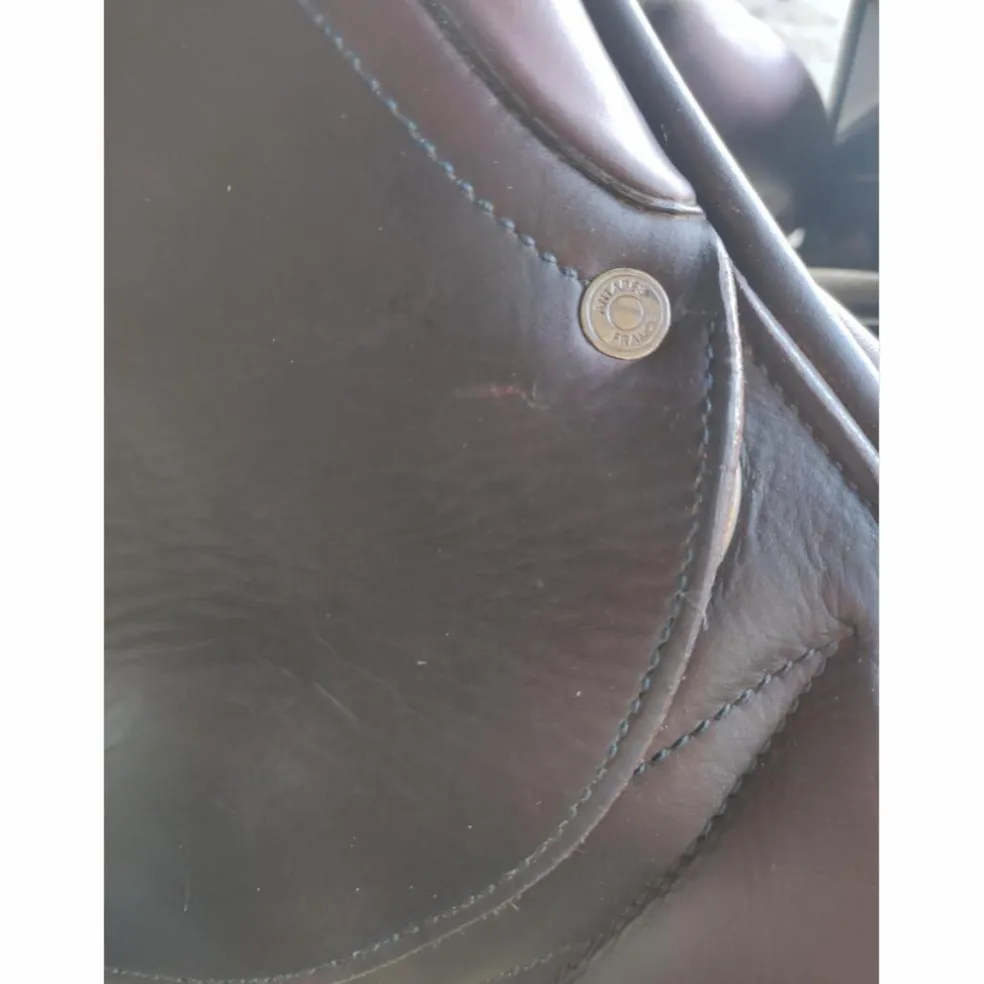 Selle Antares monoquartier 17p