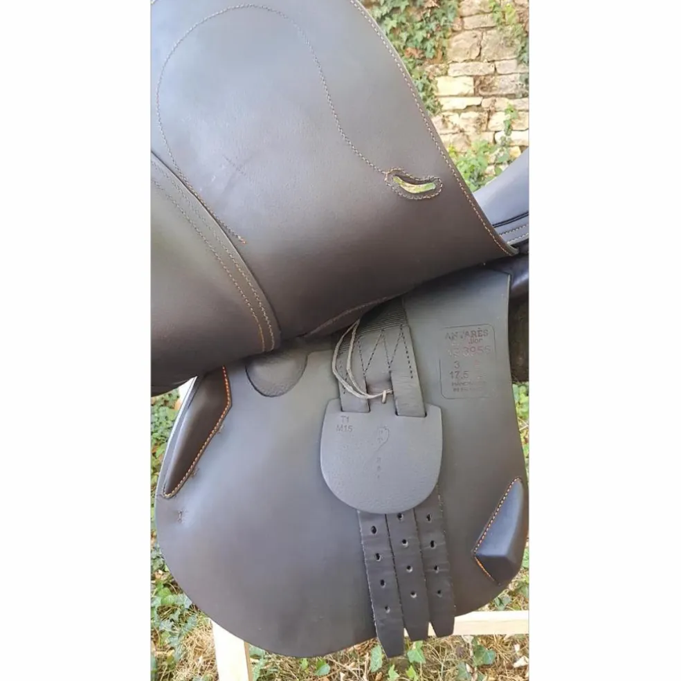 Selle Antarès modèle évolution neuve