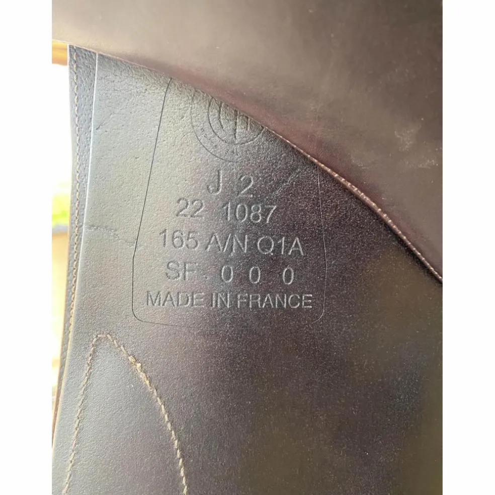 Selle Arion