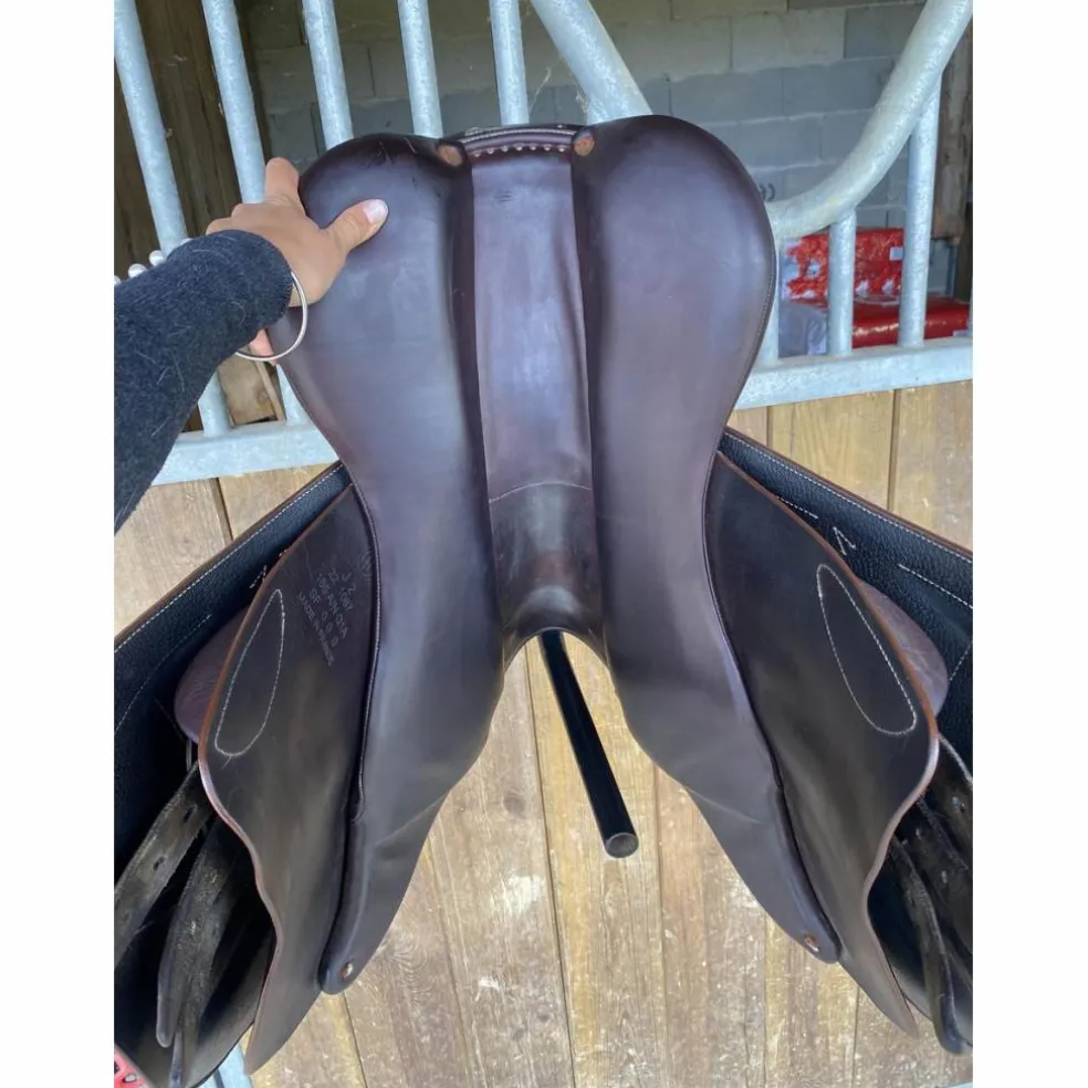 Selle Arion