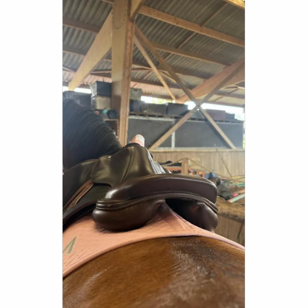 Selle Atlas Arion