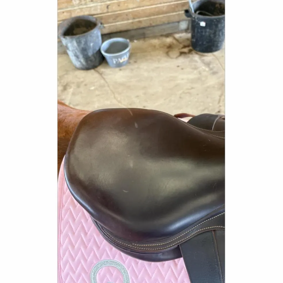 Selle Atlas Arion