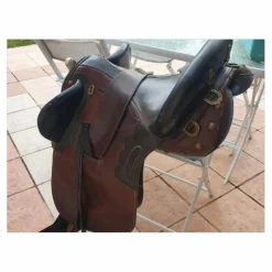 Selle Australienne