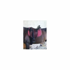 Selle Australienne