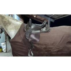 Selle australienne
