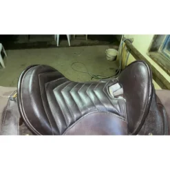 Selle australienne