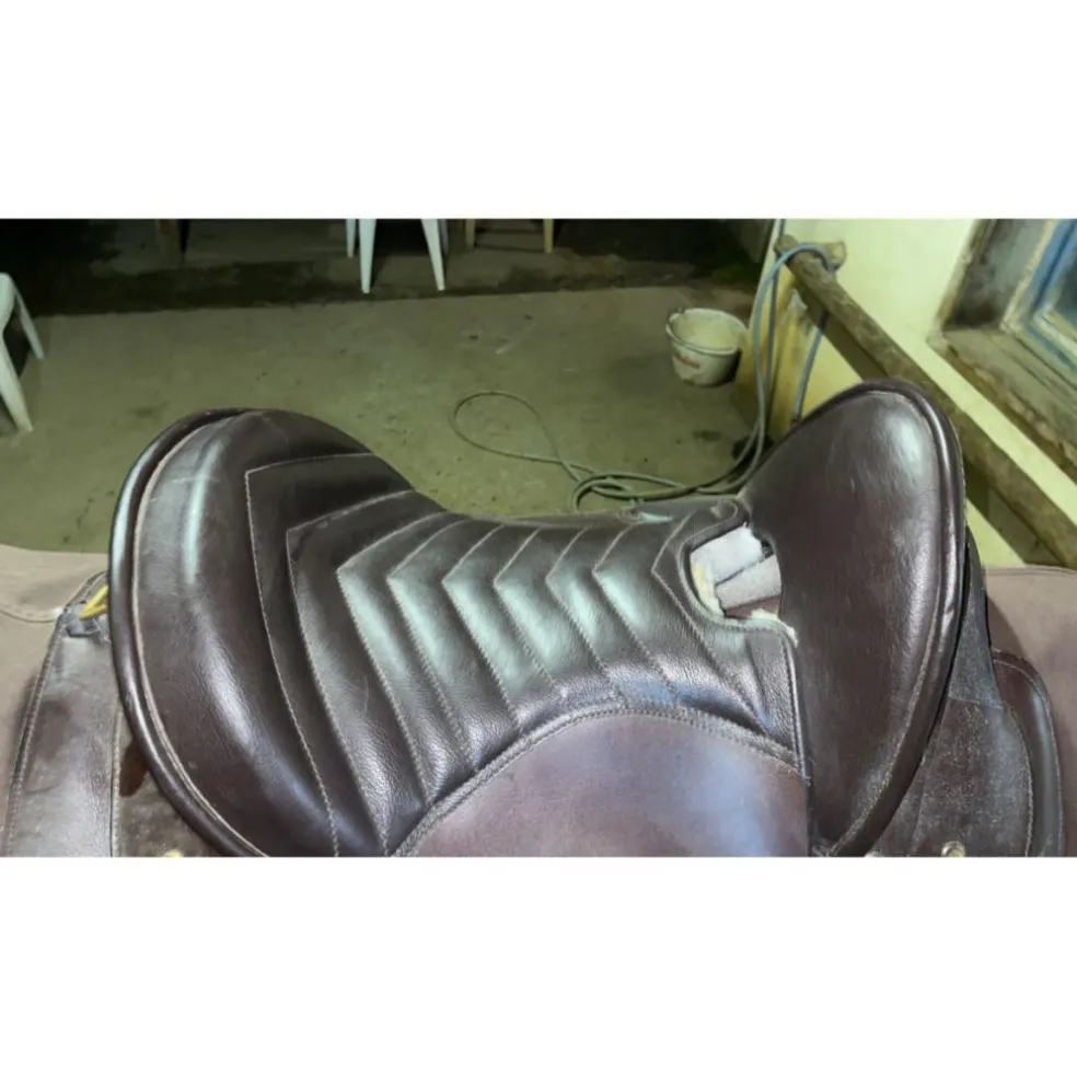 Selle australienne