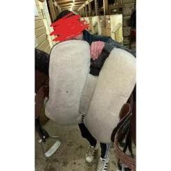 Selle australienne