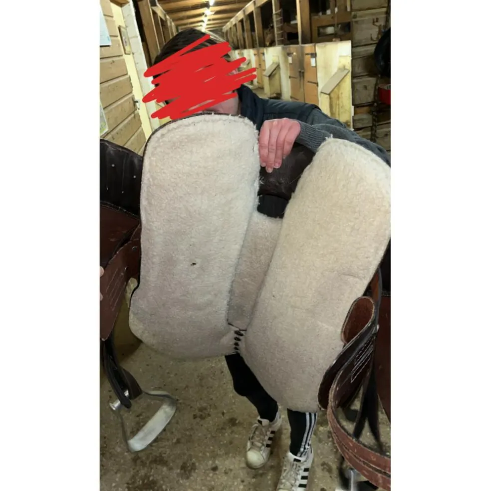 Selle australienne