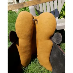 Selle australienne