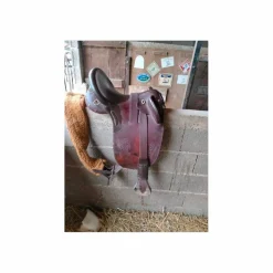 Selle Australienne