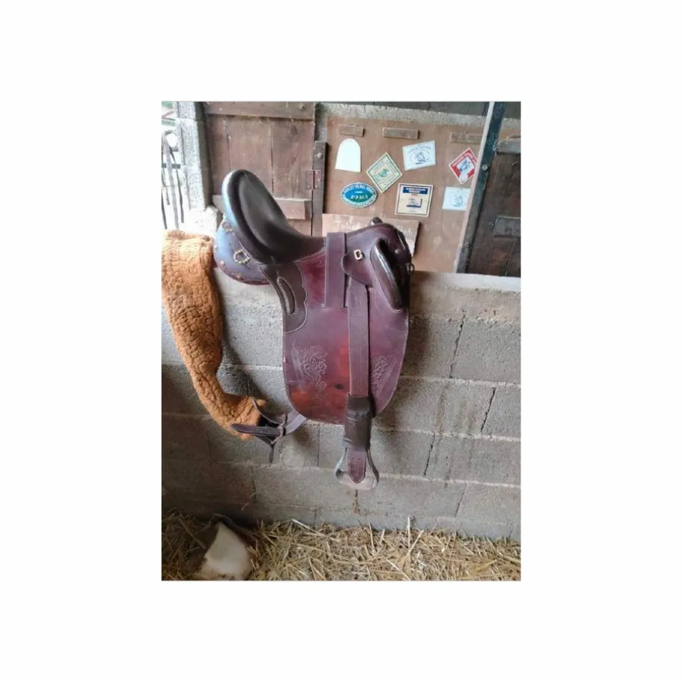 Selle Australienne