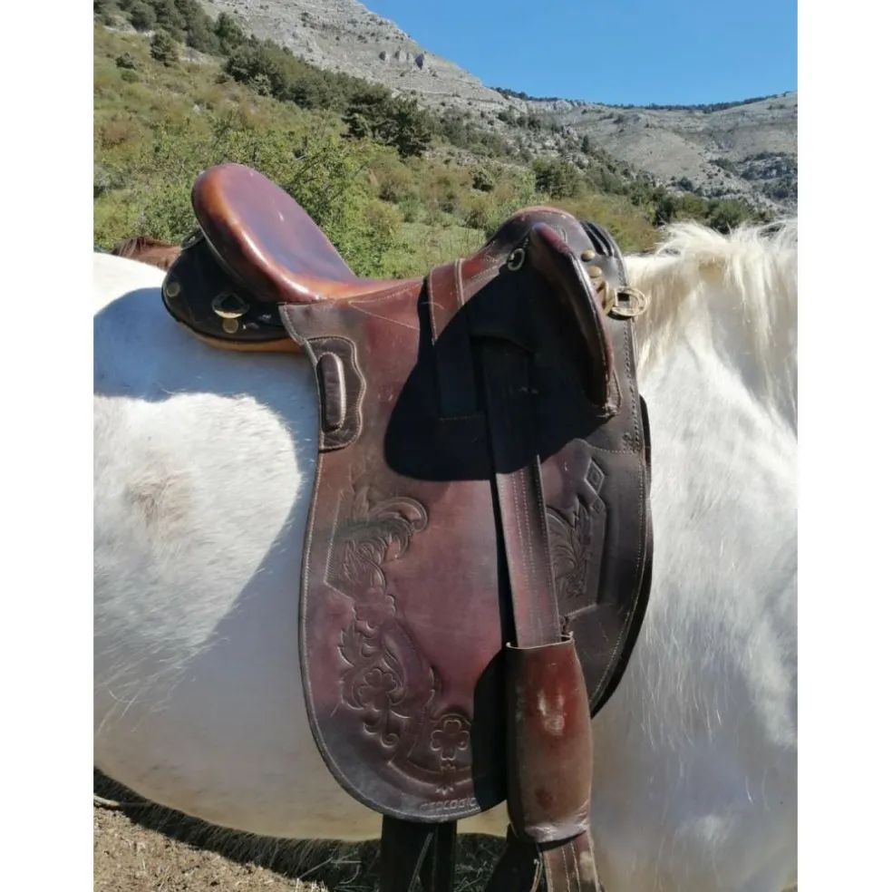 Selle Australienne