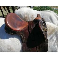 Selle Australienne