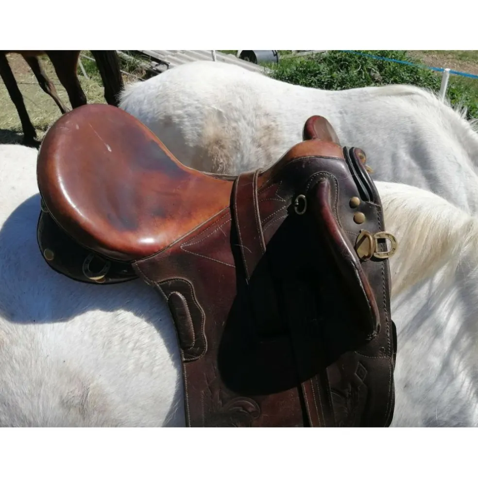 Selle Australienne