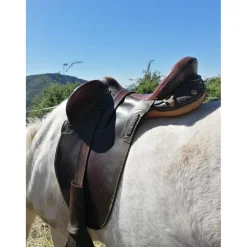 Selle Australienne