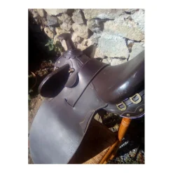 Selle australienne