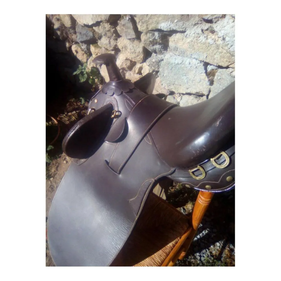 Selle australienne