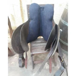 Selle australienne