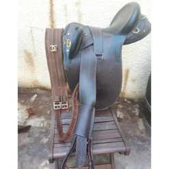 Selle australienne