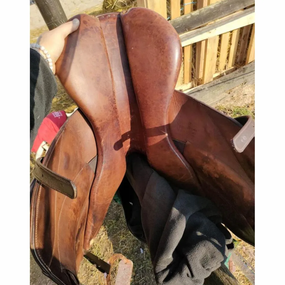 Selle boeckelo de 2003