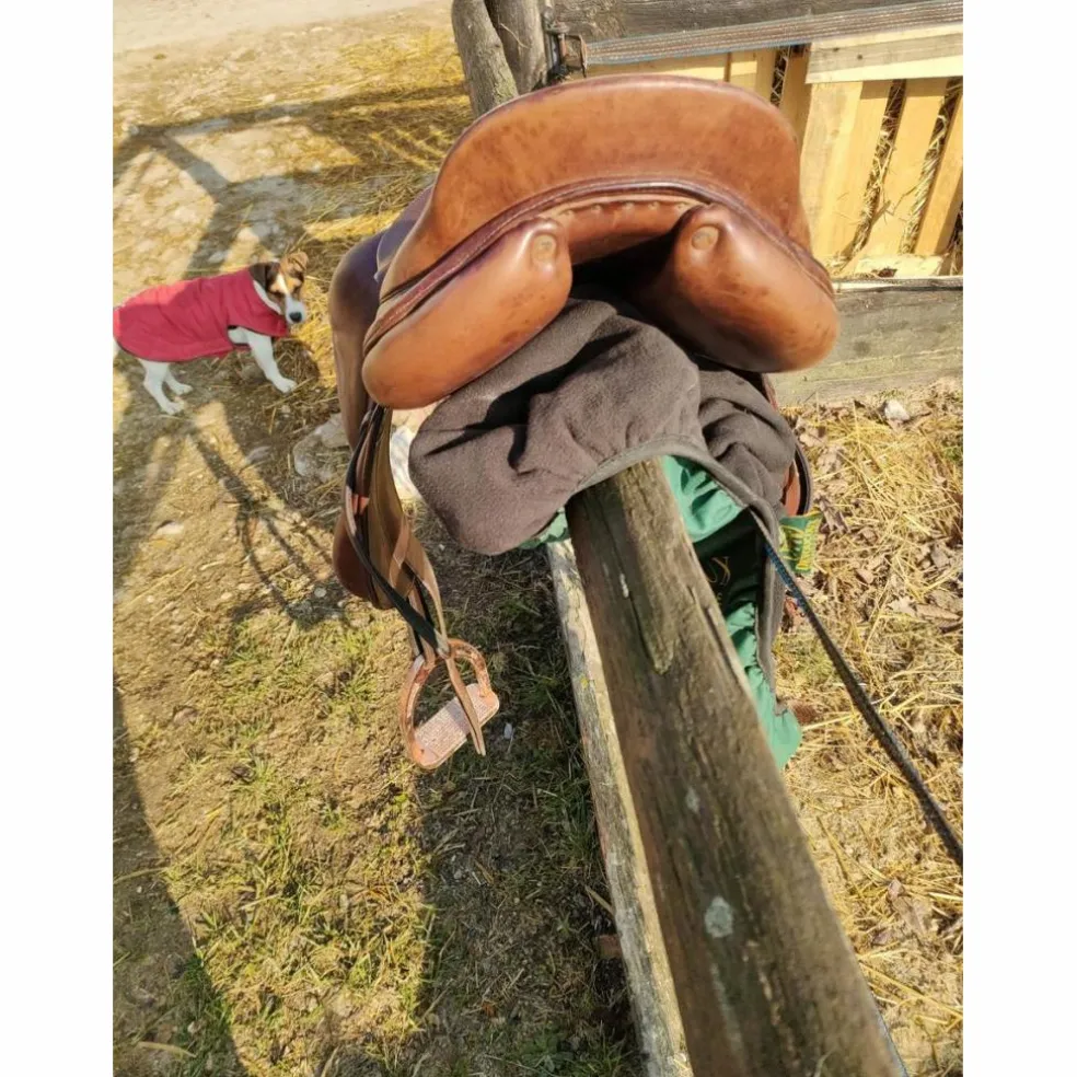 Selle boeckelo de 2003
