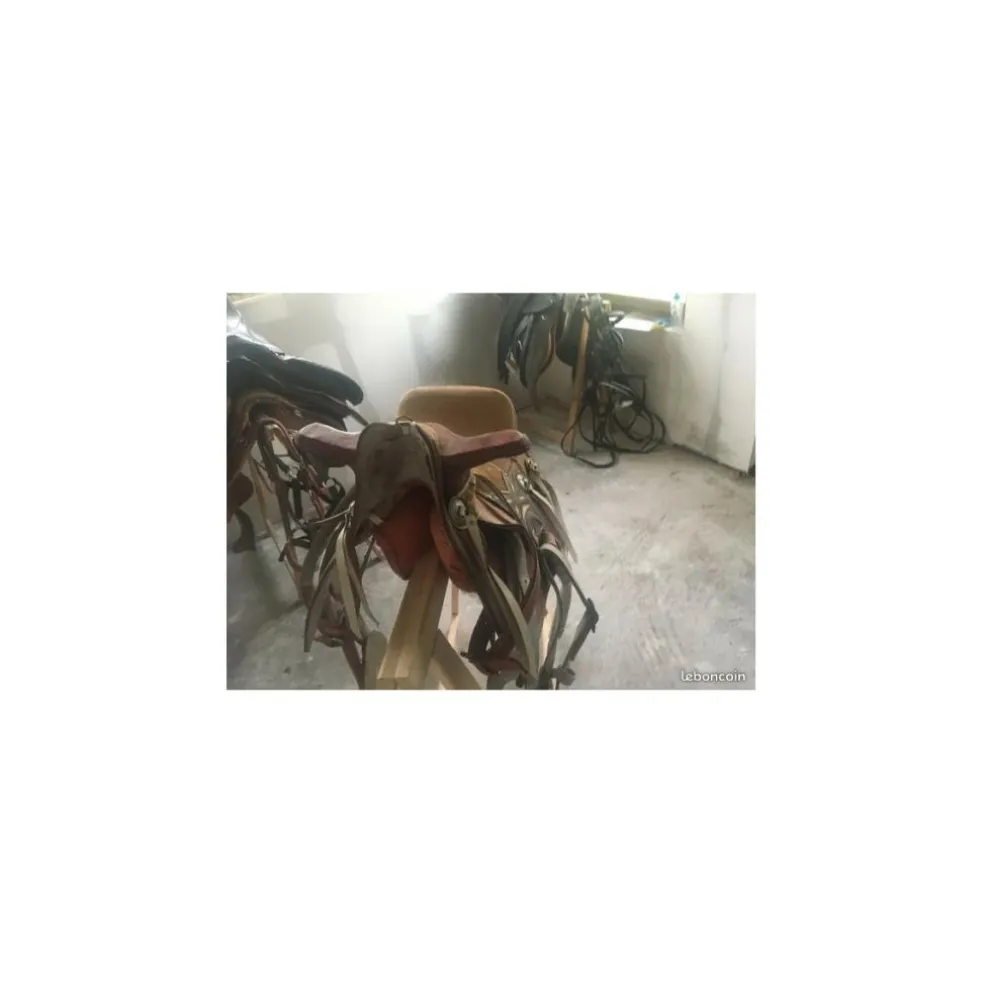 Selle brésilienne