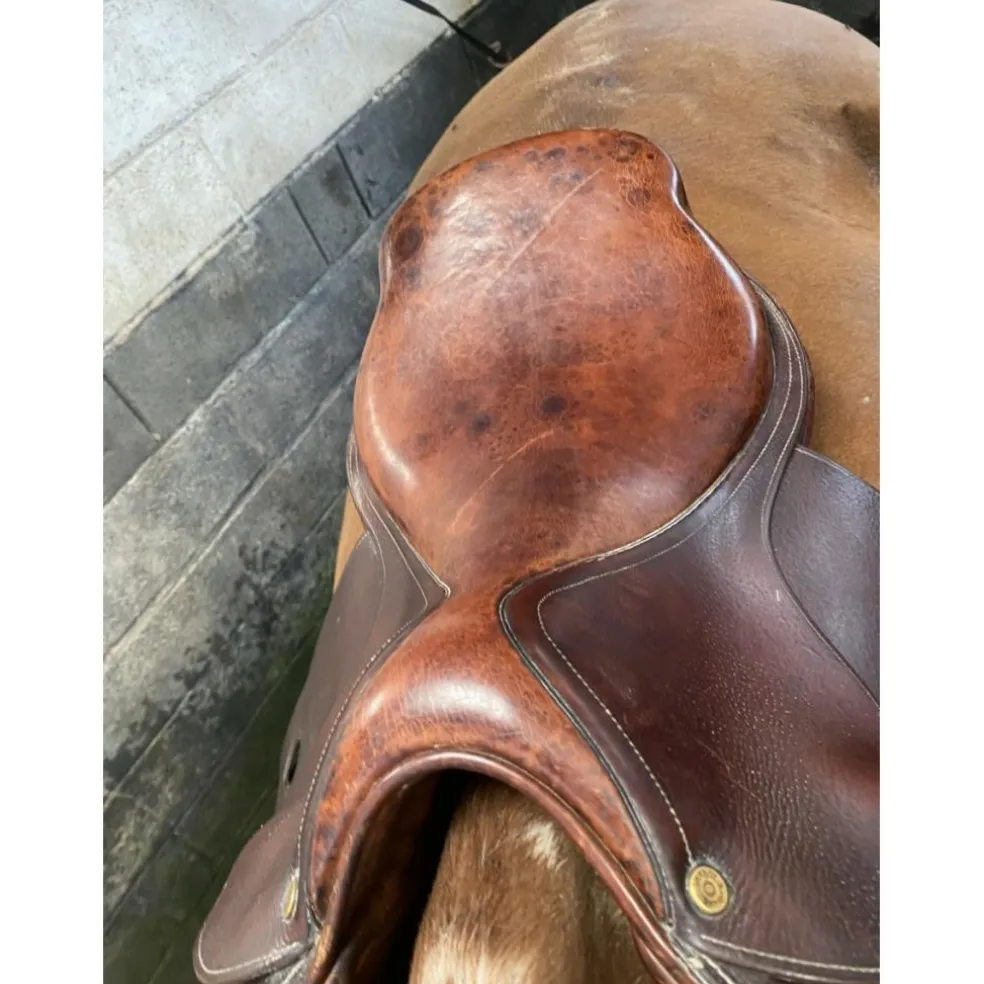 Selle Bruno Delgrange 17,5