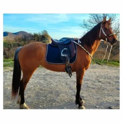 Selle Cavaletti dressage 17" cuir